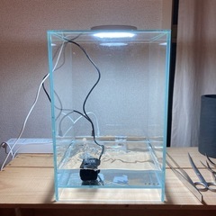 ADA ネオグラスエア20×20×30(cm)その他多数