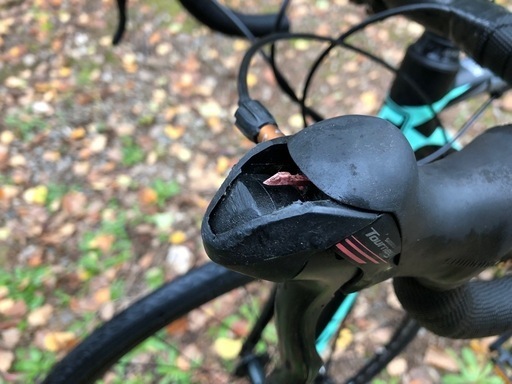ディスクブレーキ仕様のレーシングロードバイク「STRAUSS PRO DISC 