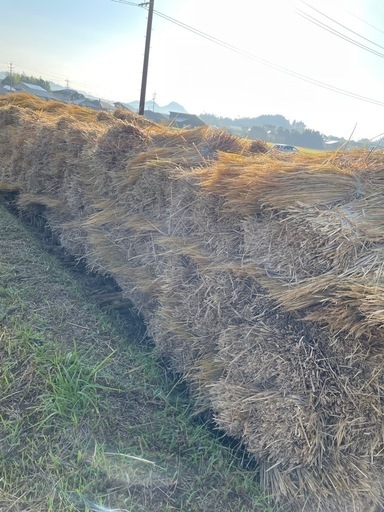 鹿児島産\n稲藁