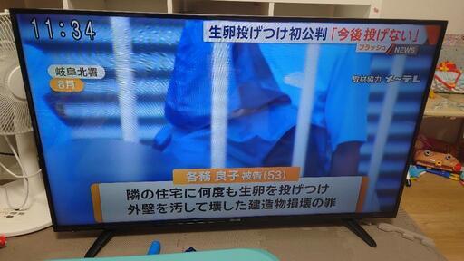 ◆お値引き◆【Hisense TV49ｲﾝﾁ】