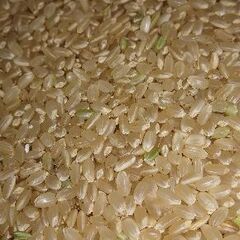 群馬県の新米の中古が安い！激安で譲ります・無料であげます｜ジモティー 