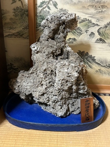 十和田古代石　観賞石