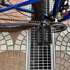 [2日間限定値下げ]MARIN BOLINASRIGE1