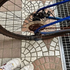 [2日間限定値下げ]MARIN BOLINASRIGE1