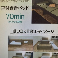 シングル、畳ベッドです