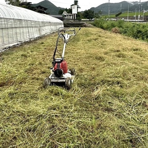 土地・田んぼ・土手等 草刈りします！