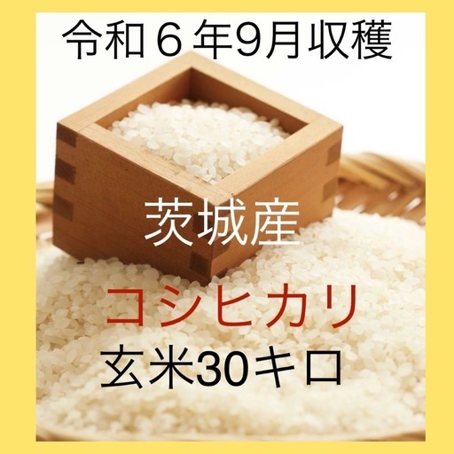 【令和６年】茨城県産コシヒカリ 30kg（玄米）⑥