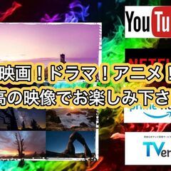 49,000円で本当は出品したいけど、この価格で勝負！モンスター級