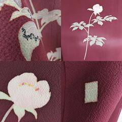 付下げ 加賀友禅 沢飯芳雄 手描き友禅 落款入り 華文様 一つ紋 ぼかし染め エンジ色 袷 広衿 正絹 仕立て上がり着物 身丈158cm