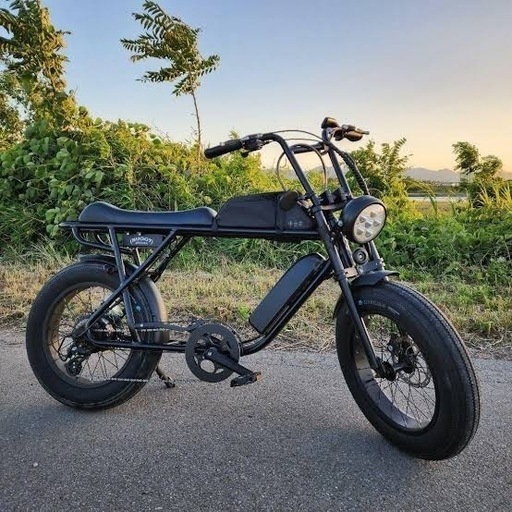bronx buggy 現金支払15万円