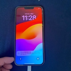 Apple iPhone13PROMAX SIMフリー 256GB