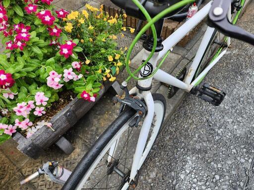 クロスバイク　ＦＩＸＥＤＧＥＡＲ　７００Ｃ　白　配達可能