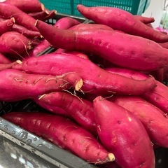 お試し　甘藷🍠　農家直送　さつまいも　10kg　新鮮　甘くて美味...