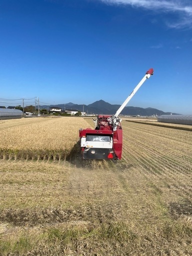 新米　熊本県産　令和6年産　\n30キロ　ヒノヒカリ