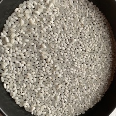 山形糯128号▲もち米！餅米！新米！数量限定！玄米30kg！お米！米！美味しいもち米です！