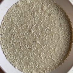 山形糯128号▲もち米！餅米！新米！数量限定！玄米30kg！お米！米！美味しいもち米です！