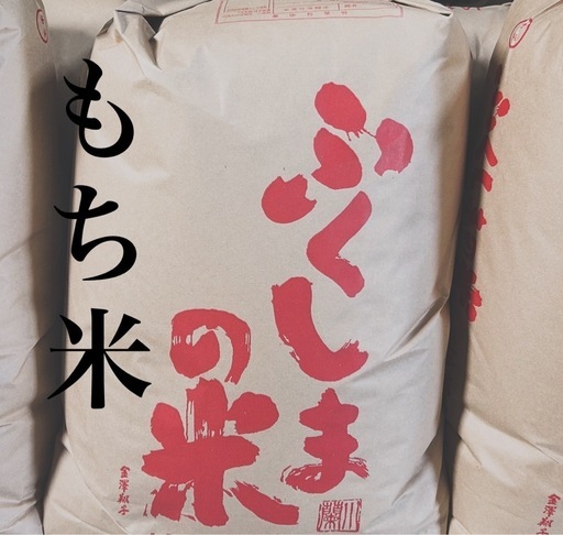 鳥取県産 きぬむすめ 令和6年産 玄米30kg 数量限定/期間限定 令