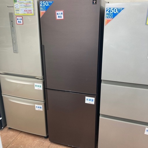 ET1132番⭐️SHARPノンフロン冷凍冷蔵庫⭐️ 2019年製 - 冷蔵庫 ET1132番⭐️SHARPノンフロン冷凍冷蔵庫⭐️ 2019年製 - 冷蔵庫