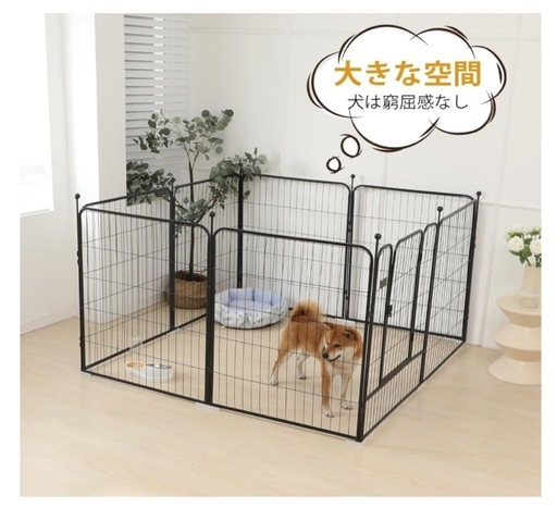 犬　サークル