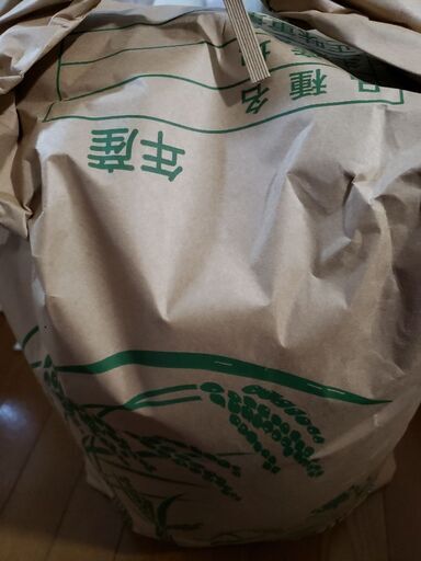 新米　はえぬき　玄米30キロ