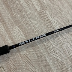 DAIWA SALTIGA J 60HS-J