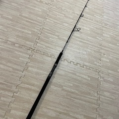 DAIWA SALTIGA J 60HS-J