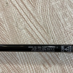 DAIWA SALTIGA J 60HS-J