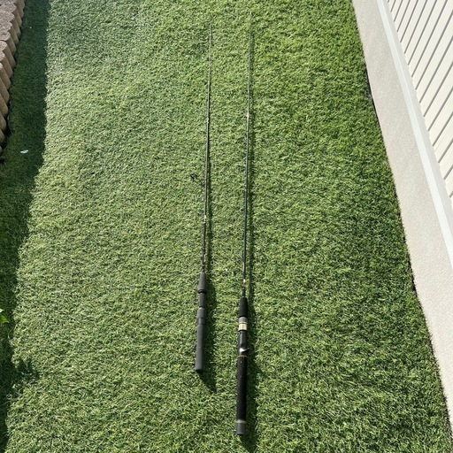 ロッド 2本セット 釣り