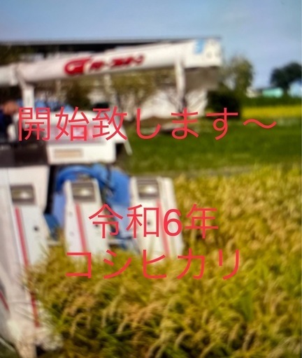 新米コシヒカリ⭕️決定しています⭕️応援米⑧