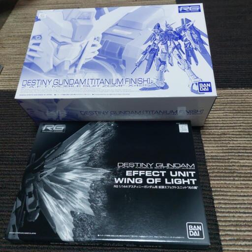 RG デスティニー