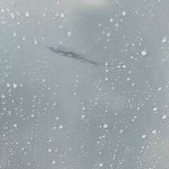 ♦️ AQUAノンフロン冷凍冷蔵庫【2014年式】AQR-361C