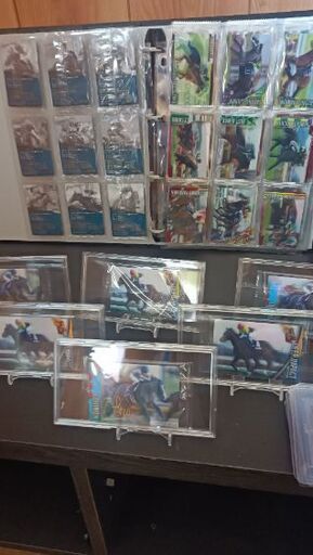 サラブレッドホースコレクション