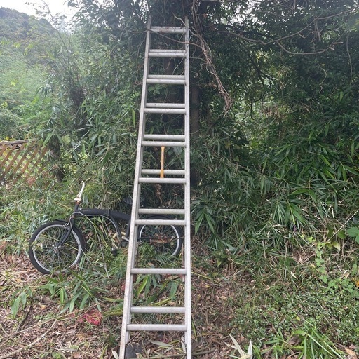 ハシゴ