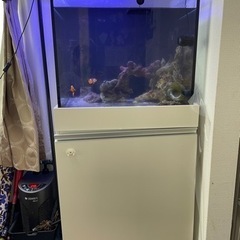 オーバーフロー　60 現地引渡し　福岡市西区　海水