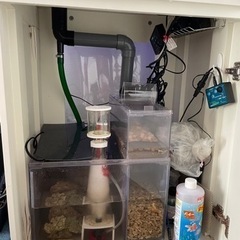 オーバーフロー　60 現地引渡し　福岡市西区　海水