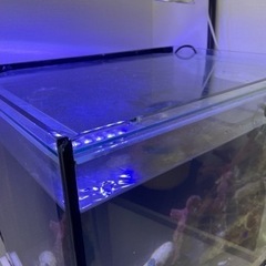 オーバーフロー　60 現地引渡し　福岡市西区　海水