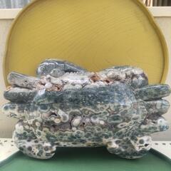 最終価格！最高級品の蟹！孔雀石