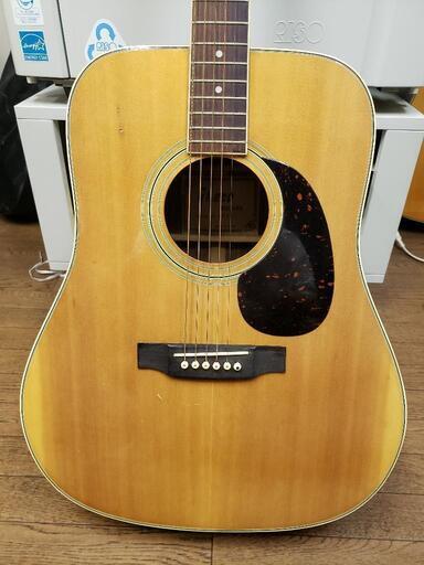 Greco アコースティックギター 6弦 ナチュラル