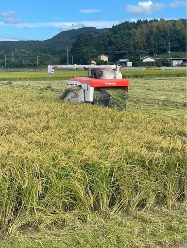 薩摩川内市産新米