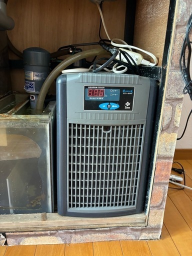 値下げアクリルオーバーフロー水槽