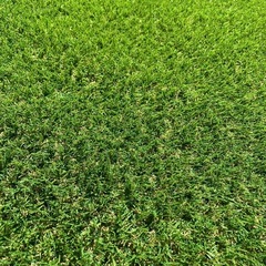 【人工芝】2m×4m