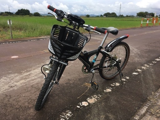 ブリヂストン　キッズ自転車　22インチ\n