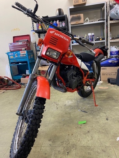 ホンダ　TLM50 実働　\nツースト原付　フルサイズ