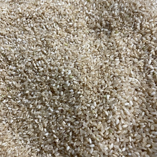 お陰様で完売しました