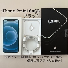 若大将加山雄三光進丸伊万里焼き大型絵皿