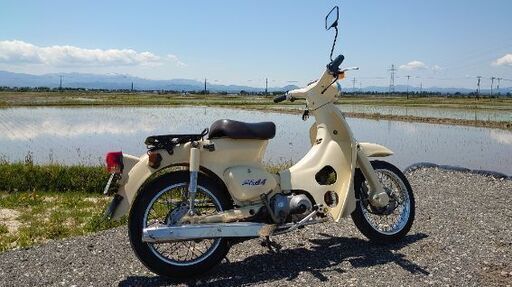 リトルカブ
