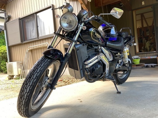 エリミネーター250SE