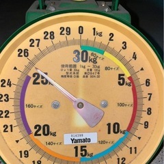 【1本限定】令和6年産 コシヒカリ 25.8kg(精米済み) 