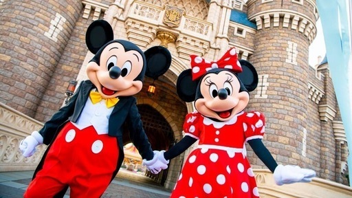 ディズニーランドチケット　大人2枚　10月14日入園