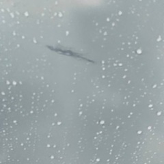 AQUA ノンフロン冷凍冷蔵庫AQR-361C(S)